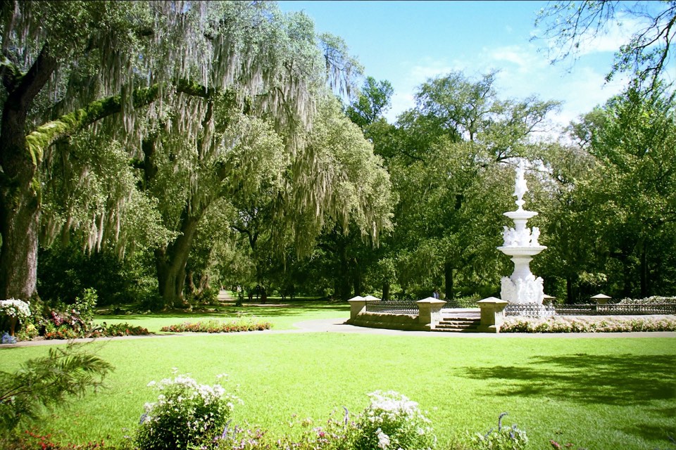 Savannah square with oaks and Spanish moss