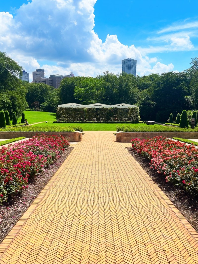 Rose garden in full bloom